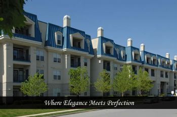 Caramichele profile photo