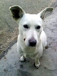 oppbear profile photo