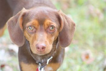 cwaltz profile photo