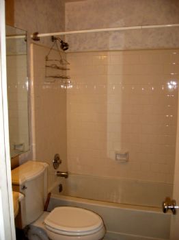 dbarista profile photo