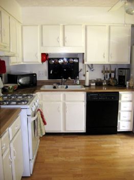 dbarista profile photo