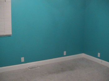 roommatenat profile photo