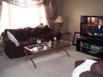 joeclean profile photo