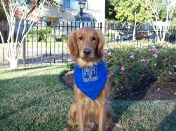 Jay bedra profile photo