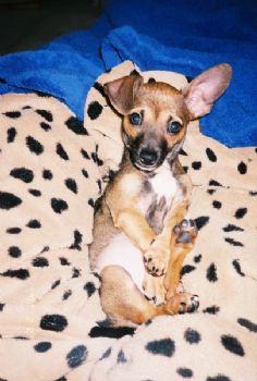 Jay bedra profile photo