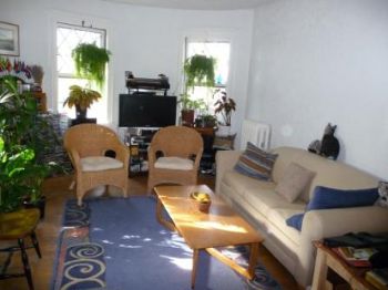 martinho profile photo