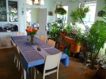 martinho profile photo