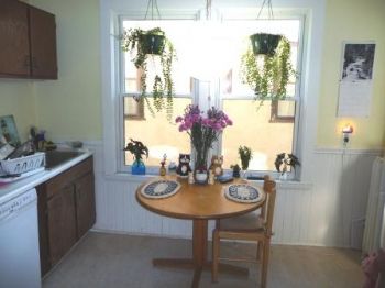 martinho profile photo