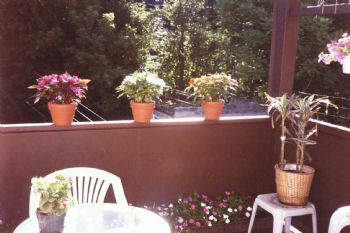 martinho profile photo