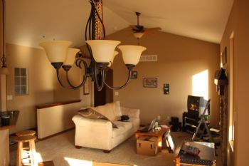 simian678 profile photo