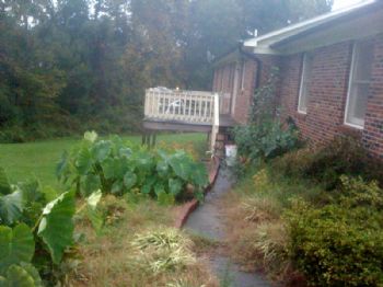 fromtheville profile photo