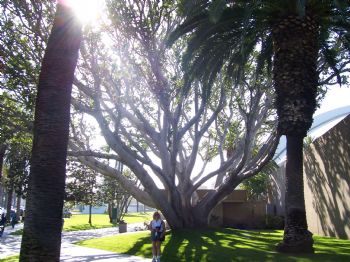 Jeanetter profile photo