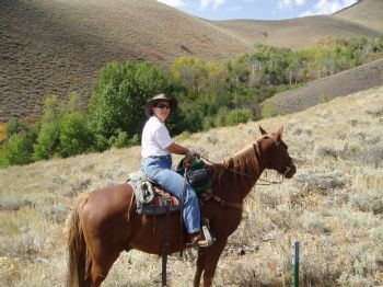 Dini Jas profile photo