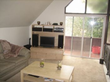 stormsa profile photo