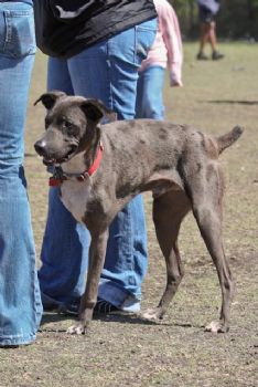 amy0026 profile photo