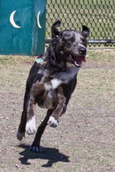 amy0026 profile photo