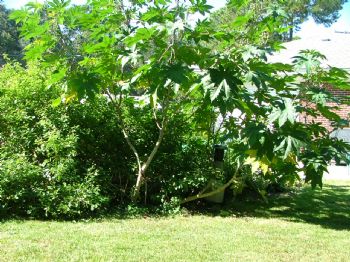 gayrodgers profile photo