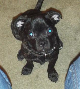 larrynangie profile photo