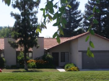 pariah429 profile photo