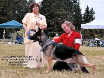 akcgsd profile photo