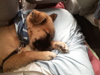 steph9008 profile photo