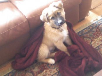 steph9008 profile photo