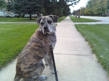 bradm79 profile photo