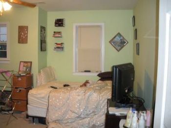 dreamster profile photo