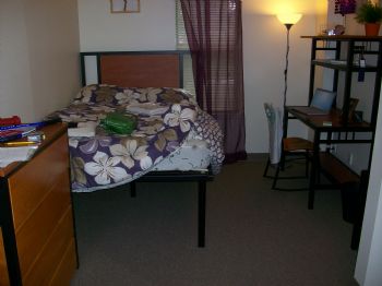 AllyD28 profile photo