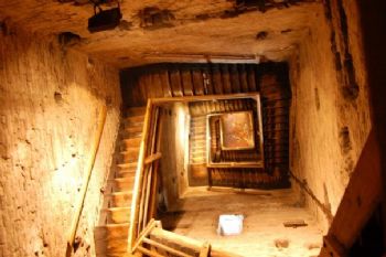 miche418 profile photo