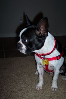 miche418 profile photo