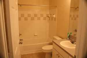 dmbeitler profile photo