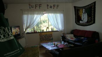 cvc2335 profile photo