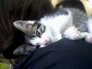 face22 profile photo