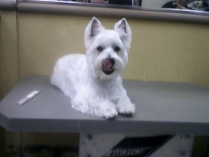 face22 profile photo