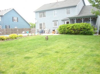 sscorps profile photo