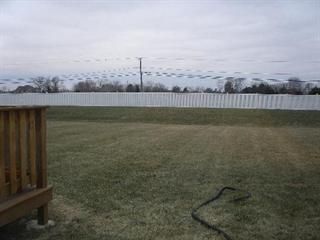 dez4real profile photo