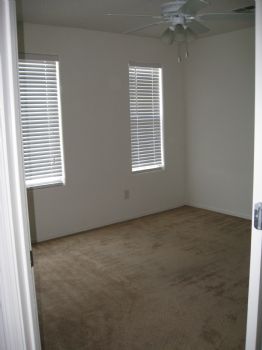 Dannenbaum profile photo