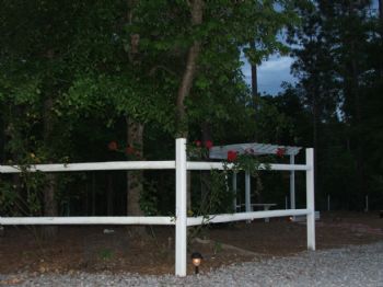 wkirk1 profile photo