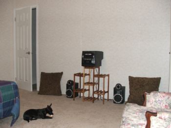 wkirk1 profile photo