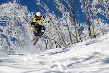 patjmurray profile photo