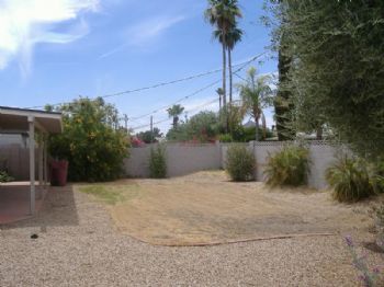 njshah profile photo