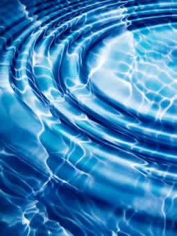 newbegining profile photo