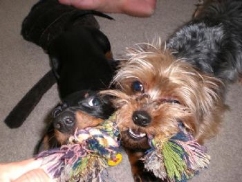 Leigh80 profile photo