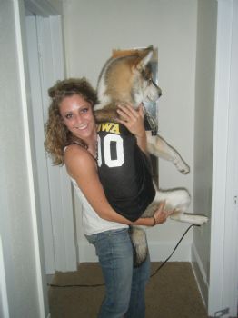 hundlc profile photo