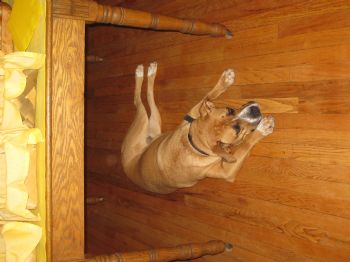 lovethenati profile photo