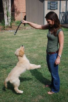 UMDMIKEE profile photo