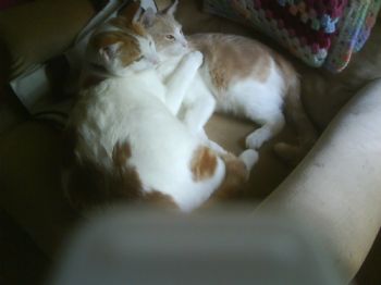 Jazzysp00 profile photo