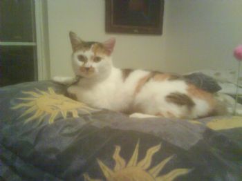 Jazzysp00 profile photo