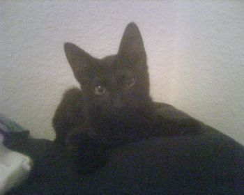 chelsey17502 profile photo